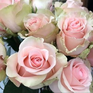 Meet your Posher, Adilene